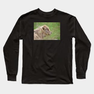 Calf / Swiss Artwork Photography Long Sleeve T-Shirt